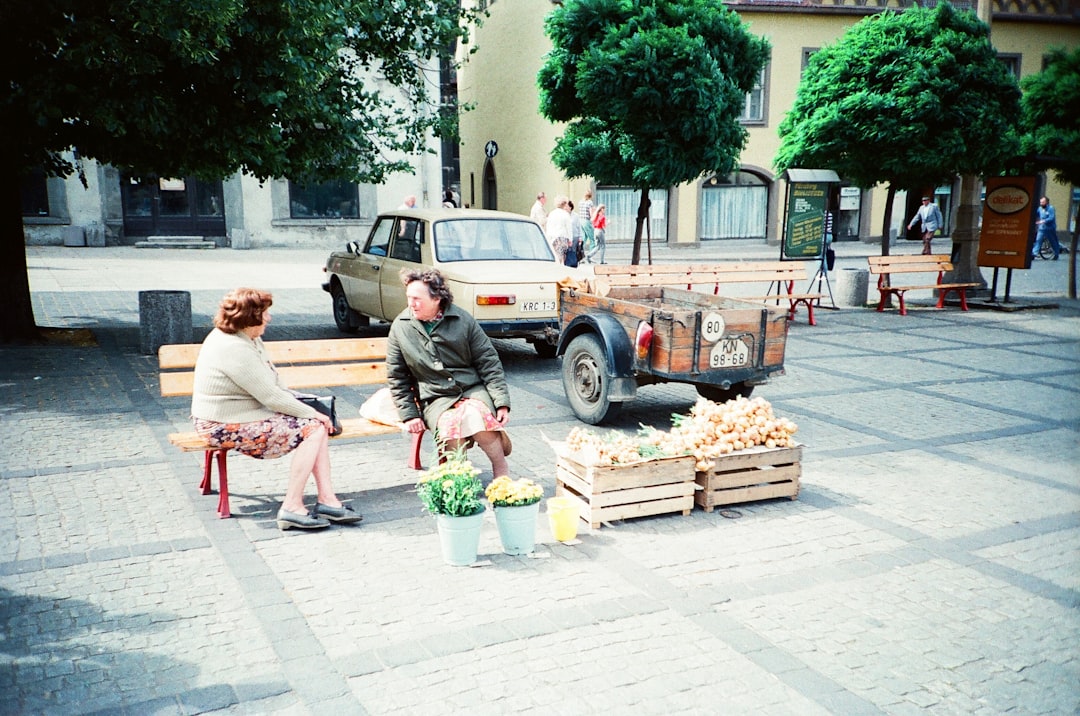 why-choose-me people-sit-on-a-bench-near-flowers-in-a-plaza-ddkofyf08vg